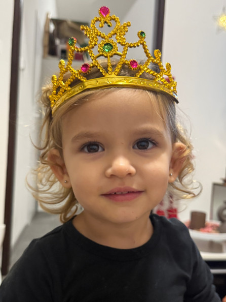 Elisabeth Anna Poštová portrait